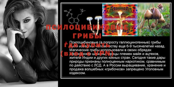 молекула духа Аркадак