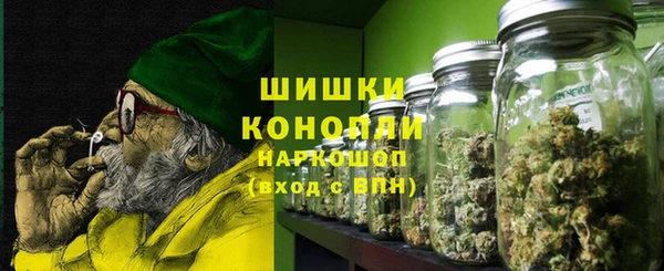 молекула духа Аркадак
