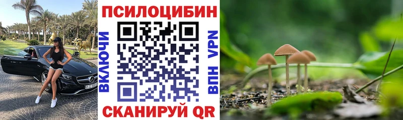 Псилоцибиновые грибы ЛСД  Пугачёв 